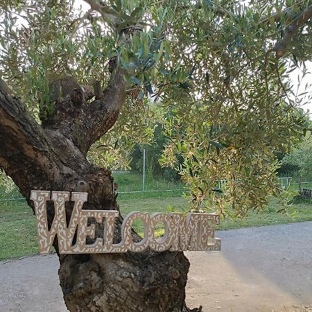 The Secret Olive House Villa Nea Michaniona Bagian luar foto