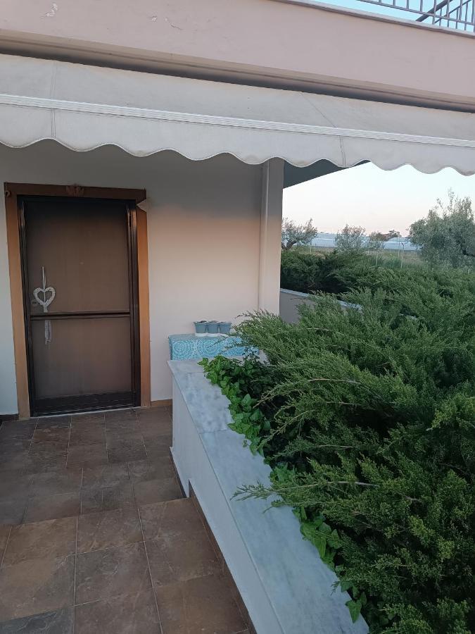 The Secret Olive House Villa Nea Michaniona Bagian luar foto