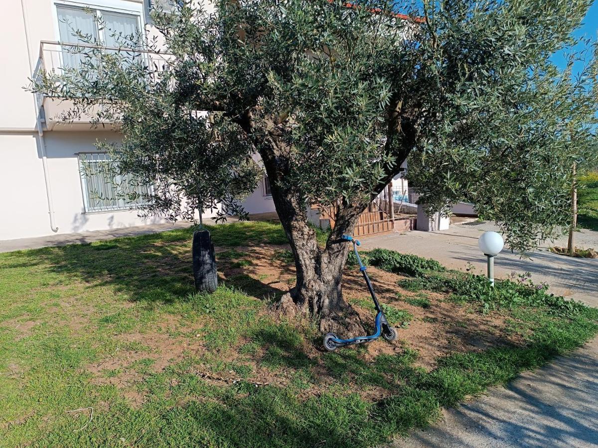 The Secret Olive House Villa Nea Michaniona Bagian luar foto